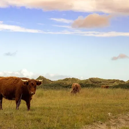 Familien Animation Cafe Spielplaetze Meerblick Wlan Фанё