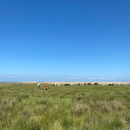 Familien Animation Cafe Spielplaetze Meerblick Wlan Апартаменты