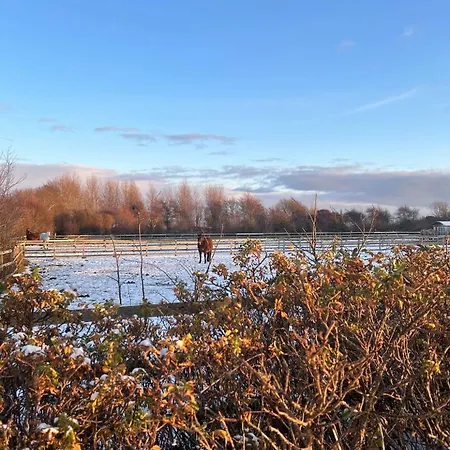 Familien Animation Cafe Spielplaetze Meerblick Wlan * Фанё